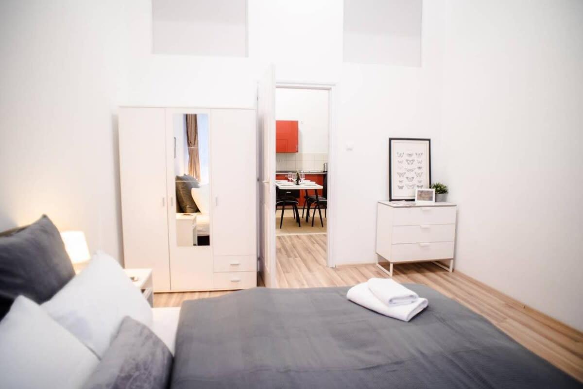 Very Central Spacious Ac Apartment 부다페스트 외부 사진